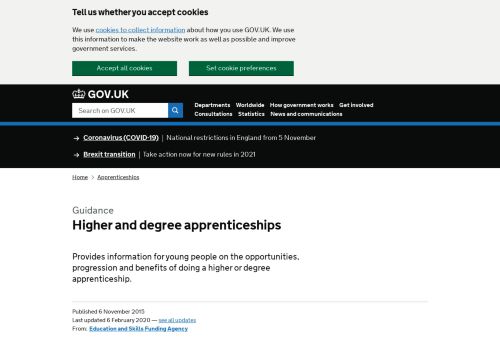 Higher and degree apprenticeships - GOV.UK  
